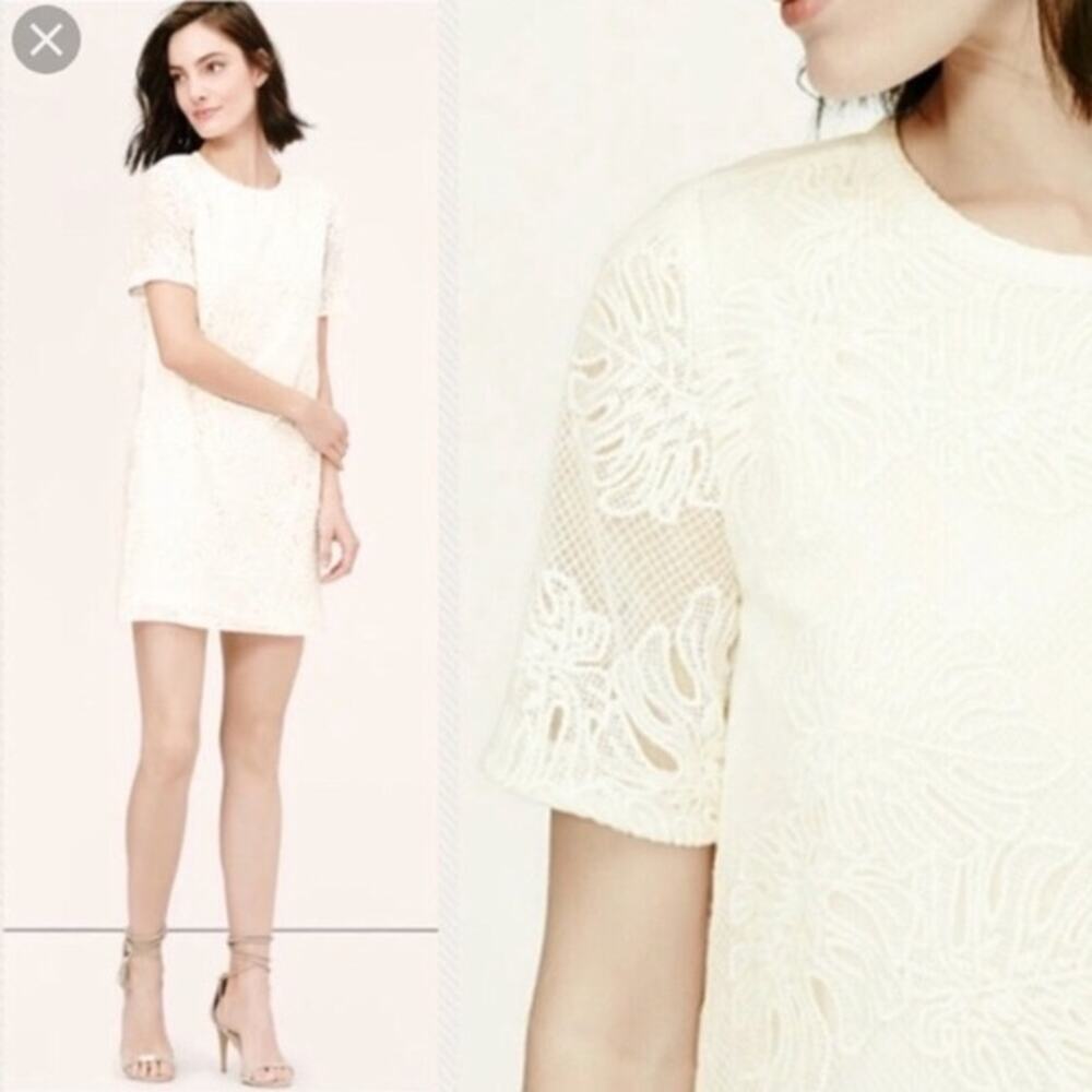 Ann Taylor Loft White Monstera Tropical Leaf Lace Stitched Shift Dress - Picture 2 of 8